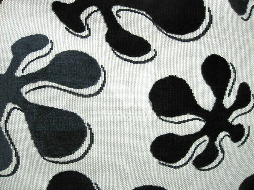 新（xīn）品（pǐn）展示